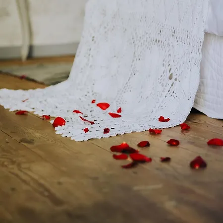 住宿加早餐酒店 La Maison Bleue 维勒雷阿勒